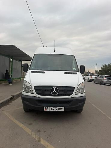 ступенька на спринтер: Mercedes-Benz Sprinter (длинная база, высокий потолок), белый фургон — 2