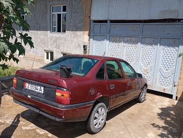 Opel: Opel Vectra: 1992 г., Хэтчбэк