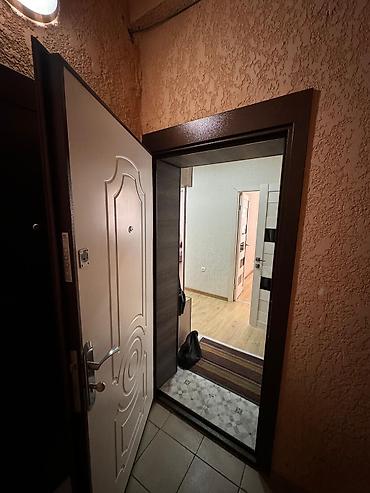 Долгосрочная аренда квартир: 1 комната, Собственник, Без подселения — 1