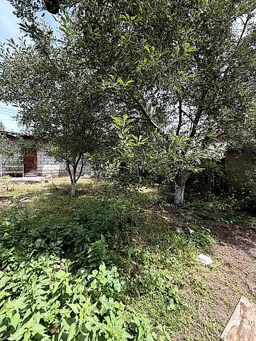 Продажа коттеджей и домов: 🏡 Продается уютный дом в Сокулуке! 📍 Отличное месторасположение — at lalafo.kg — 2 Продажа коттеджей и домов: 🏡 Продается уютный дом в Сокулуке! 📍 Отличное месторасположение — — 2
