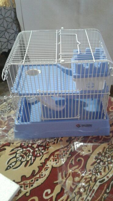 Qəfəslər: Xamyak ucun Qefes satilir qiyməti 25 azn bashqa qefeslerde var -da lalafo.az — 24 Qəfəslər: Xamyak ucun Qefes satilir qiyməti 25 azn bashqa qefeslerde var — 24