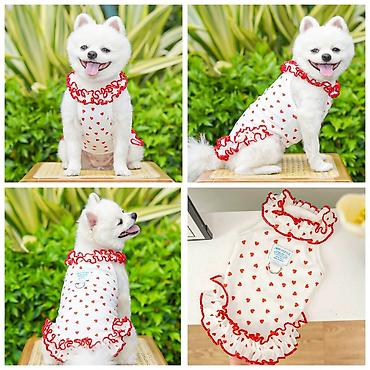 Зоотовары: ПРОДАЮ НОВЫЕ АВТО/КОРМУШКИ АВТО/ПОИЛКИ ДЛЯ КОШЕК И СОБАК(с — 16