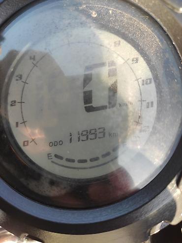 kub 50 cc: 50 sm3, 2023 il, 11993 km — 2