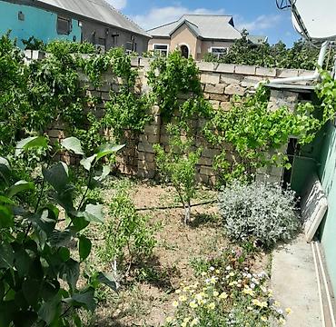 Həyət evləri və villaların satışı: 3 otaqlı, 100 kv. m, Yeni təmirli — 12