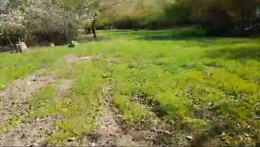 Torpaq sahələrinin satışı: 85 sot, Kənd təsərrüfatı, Mülkiyyətçi, Kupça (Çıxarış) -da lalafo.az — 5 Torpaq sahələrinin satışı: 85 sot, Kənd təsərrüfatı, Mülkiyyətçi, Kupça (Çıxarış) — 5