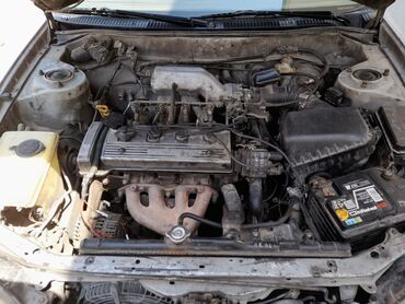 Toyota: Toyota Corolla: 1.6 l | 1998 il Sedan — 8