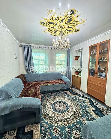 56: 🏠Продается дом в с. Беловодское Нижняя зона от трассы всего - 500м — 6