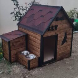 it ucun boyunbagi: It və pişik yuvaları lalafo.az -da it ucun boyunbagi: It və pişik yuvaları