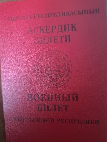 Бюро находок: Найдено, сегодня, военный билет на имя Шайлообековп Ж.Т