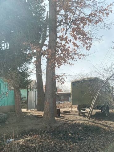 цена бетона с доставкой бишкек: Продам 2 дуба lalafo.kg да цена бетона с доставкой бишкек: Продам 2 дуба