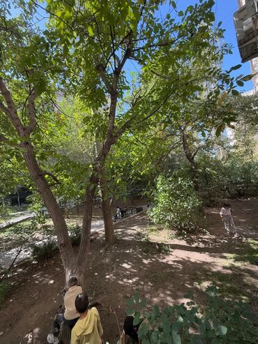 квартиры в джале: 2 комнаты, 65 м², 106 серия, 1 этаж, Косметический ремонт