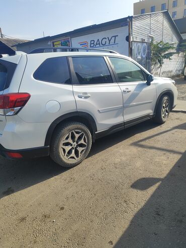 аварийный форестер: Subaru Forester: 2019 г., Автомат, Бензин, Кроссовер