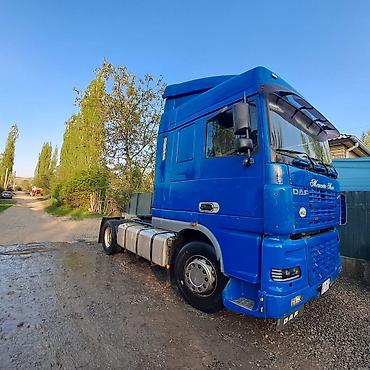 Тягачи: Тягач, DAF, Без прицепа — 7