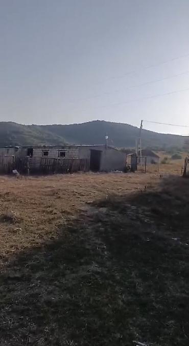 pirallahi emlak: 392 sot, Kənd təsərrüfatı, Kupça (Çıxarış) — 2