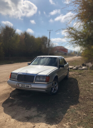 Mercedes-Benz: Mercedes-Benz W124: 1992 г., 2 л, Механика, Бензин, Седан — 1