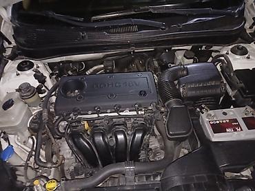 Hyundai: Hyundai Sonata: 2.4 l | 2010 il Sedan — 18