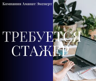 преподаватель немецкого языка: Жардамчы. Весна СБ