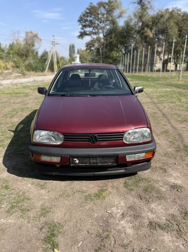 r17 на мерс: Volkswagen Golf: 1993 г., 1.6 л, Механика, Бензин, Хетчбек
