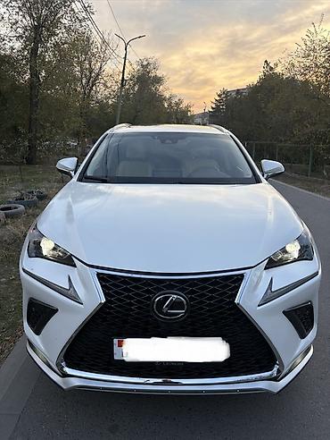 лексус транспорт: Lexus NX: 2020 г., 2 л, Автомат, Бензин, Кроссовер — 2