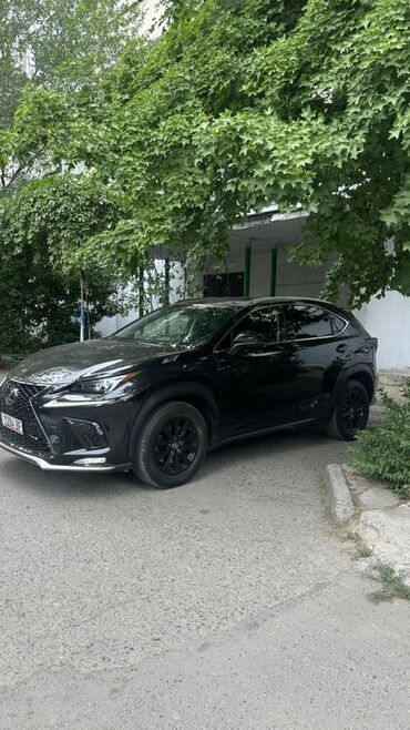 Lexus: Lexus NX: 2018 г., 2 л, Автомат, Бензин, Кроссовер