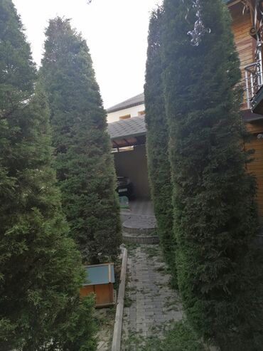 Bağbanlar: Bağban, 43 il, 5 ildən artıq təcrübə — 13