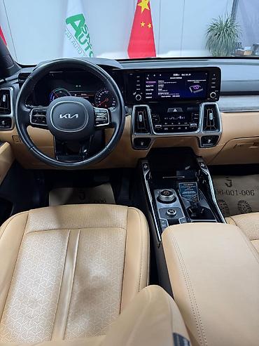 li 6 max: Kia Sorento: 2022 г., 1.6 л, Автомат, Гибрид, Кроссовер — 9