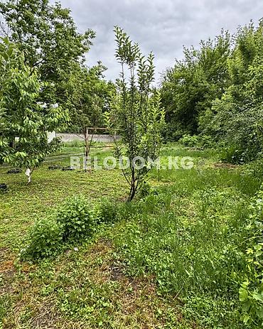 Үйлөр: 🏠Продается барачный дом в с. Беловодское Нижняя зона, от трассы - 4км — 3