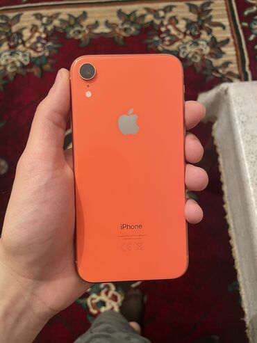 Apple iPhone: IPhone Xr, 64 GB, Face ID