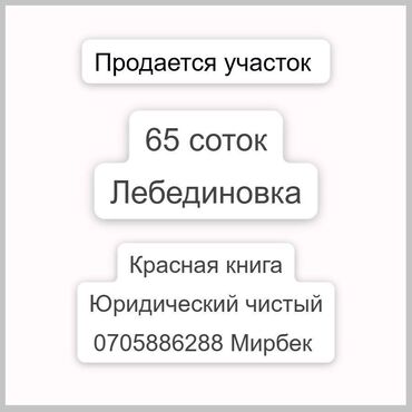 земельный участок кызыл туу: 65 соток, Для строительства, Красная книга, Тех паспорт