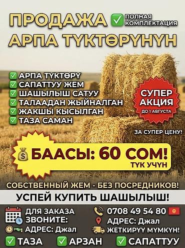 куры живые: 🌾 СРОЧНО! Арпа түк (саман) сатылат! 🌾 💰 Баасы: 60 сом (полядан / түз — 1
