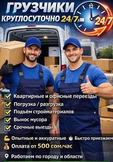 Грузчики: Грузчик. С опытом — 10