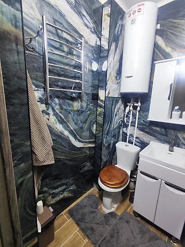 сдаю на аренду: 1 комната, 36 м², ТЦ Весна Индивидуалка, 2 этаж, Свежий ремонт — 10