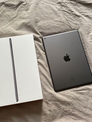 айпад чехол: Планшет, Apple, эс тутум 256 ГБ, 10" - 11", Wi-Fi, Жаңы, Классикалык түсү - Боз