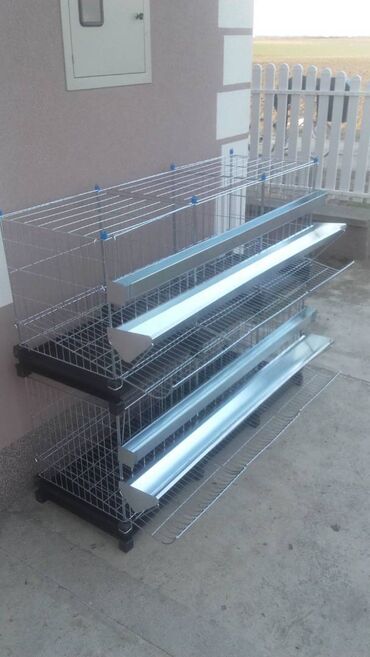 Domaće životinje: Prodaja pocinkovanih kaveza za koke, pilice i zeceve u kompletu sa — 2
