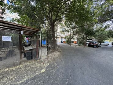 Digər kommersiya daşınmaz əmlakı: 7-ci mikrorayonda,Azadlıq metrosunun yanı,Faxralı xəngəl evinin -da lalafo.az — 9 Digər kommersiya daşınmaz əmlakı: 7-ci mikrorayonda,Azadlıq metrosunun yanı,Faxralı xəngəl evinin — 9