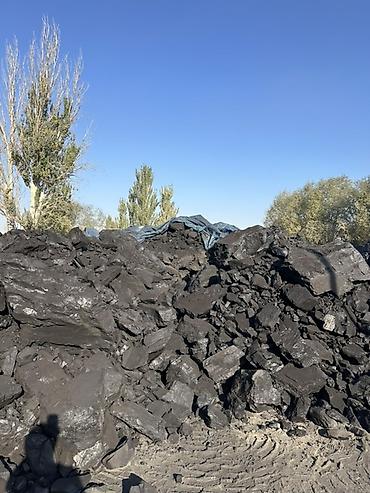 Үй жана бакча үчүн бардык: Одбор комур кара кече — 1
