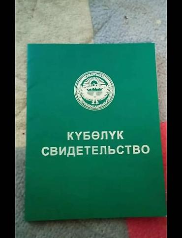 земля посевная: 40 соток — 4