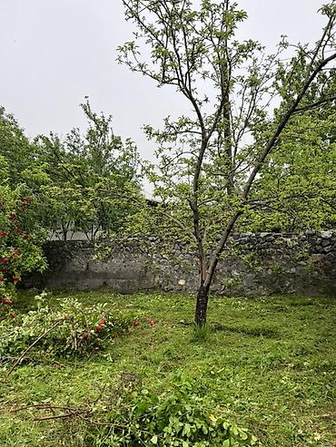 torpaq bakıda: 5 sot, Tikinti, Mülkiyyətçi, Kupça (Çıxarış) — 7