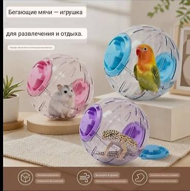 Бесшумный спортивный шар для бега домашних питомцев. Описание: - — 2
