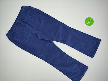 szary plaszcz pull: RAINBOW, Spodnie materiałowe damskie, rozmiar 2XL — 3