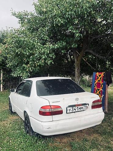 corolla runx: Toyota Corolla: 1998 г., 2 л, Автомат, Дизель, Седан — 2