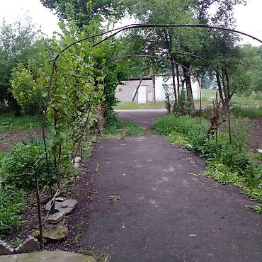 Продажа квартир: 3 комнаты, 110 м², 1 этаж, Евроремонт — 11