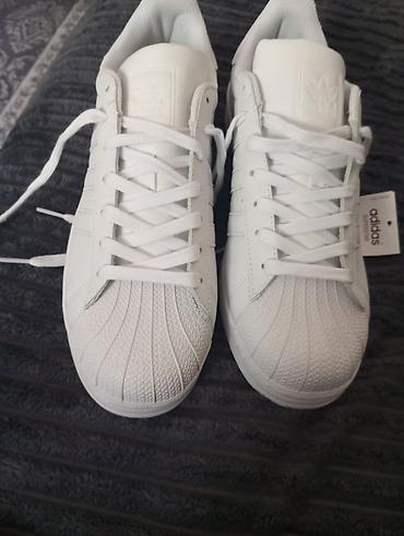 superstar: Кроссовки adidas Originals Superstar, белые продаю красотки размер 45 — 1