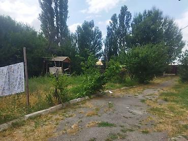 участок дома: 12 соток — 3