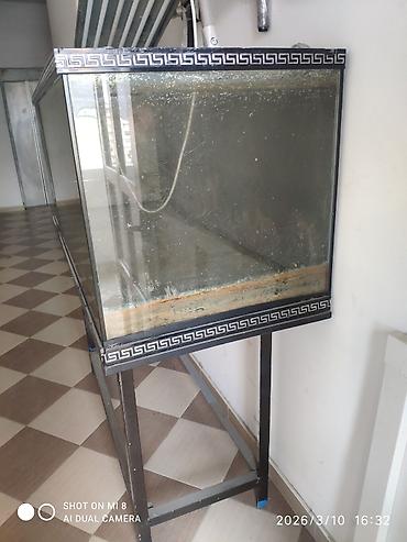 keci seki: Dördbucaq akvarium, Boş, 500 l, Ünvandan götürmə — 3