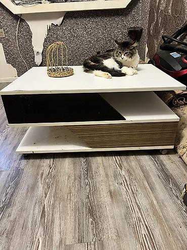 Salon masaları: Jurnalni — 1