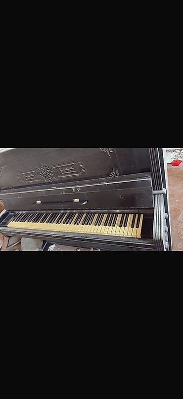Musiqi alətləri: Açıq qapaqlı, klassik üslublu akustik piano. - Rəng: qara, korpus — 1