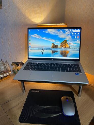 HP: HP ProBook noutbuk - Model: HP ProBook (seriya iş nişanlı, korpus — 1
