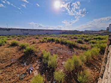 Torpaq sahələrinin satışı: 36 sot, Tikinti, Makler, Kupça (Çıxarış) — 7