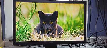 Мониторы: Монитор, Acer, Б/у, 18" - 19" — 10